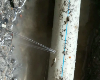 麦盖提卫生间测漏水多少钱